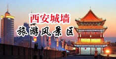 操骚屄视频免费在线观看中国陕西-西安城墙旅游风景区
