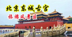 婷婷久久波波网中国北京-东城古宫旅游风景区